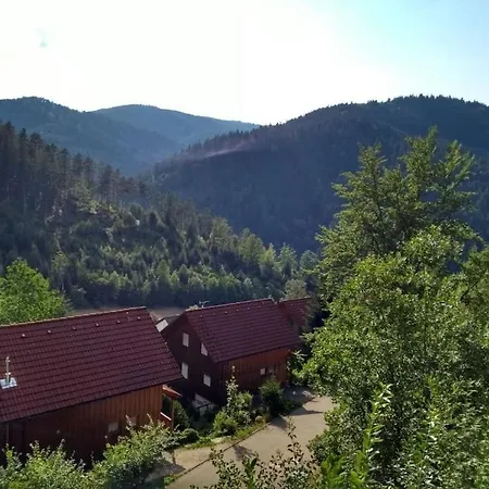 Tatil Evi In Hornberg With Swimming Pool