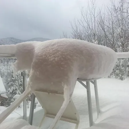 In Hornberg With Swimming Pool Niederwasser