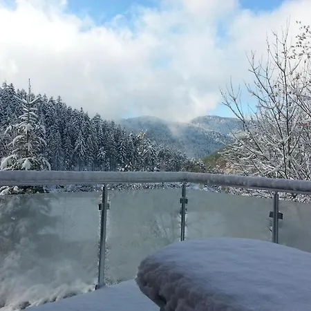 In Hornberg With Swimming Pool Hornberg