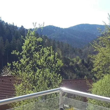 In Hornberg With Swimming Pool Hornberg