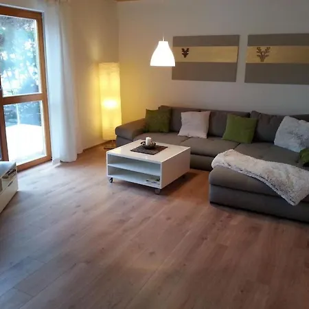 In Hornberg With Swimming Pool Tatil Evi Hornberg