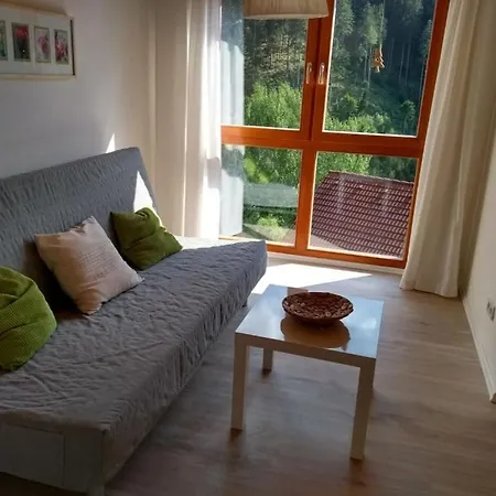 In Hornberg With Swimming Pool Hébergement de vacances Niederwasser