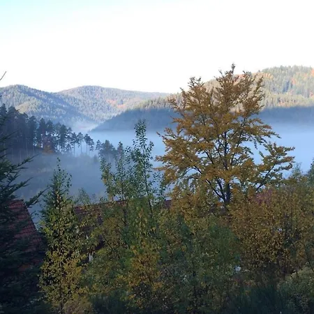 In Hornberg With Swimming Pool *