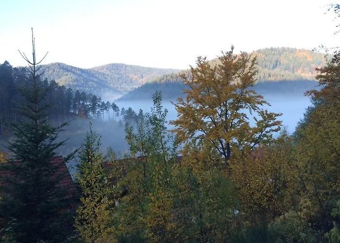 In Hornberg With Swimming Pool Tatil Evi