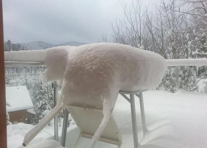 In Hornberg With Swimming Pool Hornberg