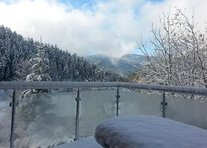 In Hornberg With Swimming Pool Hornberg