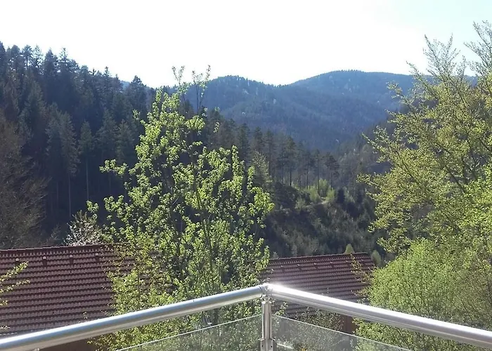 In Hornberg With Swimming Pool Hornberg