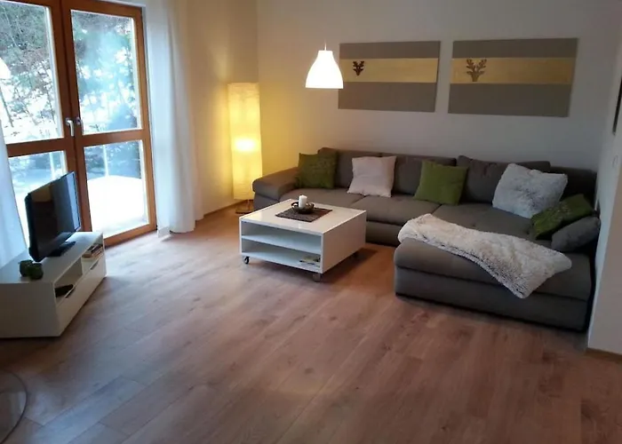 In Hornberg With Swimming Pool Tatil Evi Hornberg