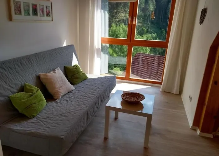 In Hornberg With Swimming Pool Tatil Evi Hornberg